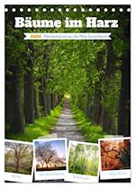 Bäume im Harz (Tischkalender 2024 DIN A5 hoch)