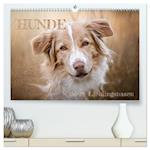 Hunde - Unsere Lieblingsnasen (Premium, hochwertiger DIN A2 Wandkalender 2024, Kunstdruck in Hochglanz)
