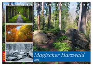 Magischer Harzwald (Tischkalender 2024 DIN A5 quer), CALVENDO Monatskalender