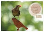Heimische Vögel - Im Wald, im Garten und auf der Wiese (Wandkalender 2024 DIN A4 quer)