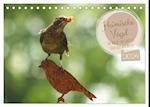 Heimische Vögel - Im Wald, im Garten und auf der Wiese (Tischkalender 2024 DIN A5 quer), CALVENDO Monatskalender