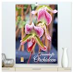 Traumhafte Orchideen (Premium, hochwertiger DIN A2 Wandkalender 2024, Kunstdruck in Hochglanz)