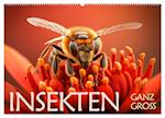 Insekten ganz gross (Wandkalender 2024 DIN A2 quer)