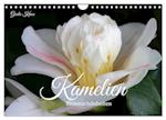 Kamelien - Blütenschönheiten (Wandkalender 2024 DIN A4 quer), CALVENDO Monatskalender