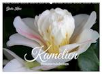 Kamelien - Blütenschönheiten (Wandkalender 2024 DIN A2 quer), CALVENDO Monatskalender