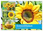 Sonnenblumen. Das Strahlen des Sommers (Wandkalender 2024 DIN A2 quer), CALVENDO Monatskalender