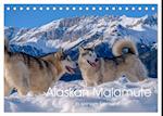 Alaskan Malamute in seinem Element (Tischkalender 2024 DIN A5 quer), CALVENDO Monatskalender