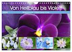 Von Hellblau bis Violett Blütenpracht (Wandkalender 2024 DIN A4 quer), CALVENDO Monatskalender