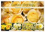 Gelbes Strahlen Blütenbilder (Wandkalender 2024 DIN A2 quer), CALVENDO Monatskalender