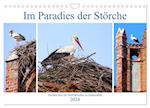 Im Paradies der Störche - Dorfkirchen als Storchkirchen in Ostpreußen (Wandkalender 2024 DIN A4 quer), CALVENDO Monatskalender