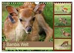 Bambis Welt (Wandkalender 2024 DIN A4 quer), CALVENDO Monatskalender