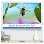 Sechs Beine in der Luft - Wildbienen im Flug (hochwertiger Premium Wandkalender 2024 DIN A2 quer), Kunstdruck in Hochglanz