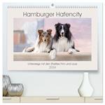 Hamburger Hafencity - Unterwegs mit den Shelties Finn und Louis (hochwertiger Premium Wandkalender 2024 DIN A2 quer), Kunstdruck in Hochglanz