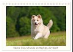 Kleine Islandhunde entdecken die Welt (Tischkalender 2024 DIN A5 quer), CALVENDO Monatskalender
