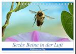 Sechs Beine in der Luft - Wildbienen im Flug (Tischkalender 2024 DIN A5 quer), CALVENDO Monatskalender