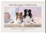 Hamburger Hafencity - Unterwegs mit den Shelties Finn und Louis (Tischkalender 2024 DIN A5 quer), CALVENDO Monatskalender