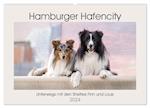 Hamburger Hafencity - Unterwegs mit den Shelties Finn und Louis (Wandkalender 2024 DIN A2 quer), CALVENDO Monatskalender