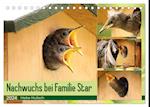 Nachwuchs bei Familie Star (Tischkalender 2024 DIN A5 quer), CALVENDO Monatskalender