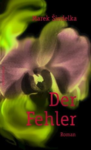 Der Fehler