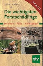 Die wichtigsten Forstschädlinge