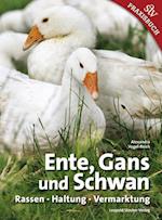 Ente, Gans und Schwan