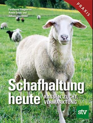 Schafhaltung heute