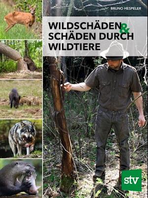 Wildschäden & Schäden durch Wildtiere