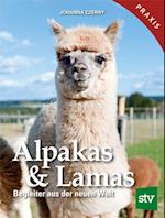 Alpakas & Lamas