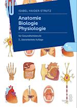 Anatomie, Biologie, Physiologie