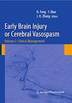 Early Brain Injury or Cerebral Vasospasm