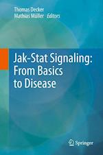 Jak-Stat Signaling : From Basics to Disease
