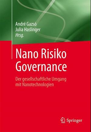 Nano Risiko Governance