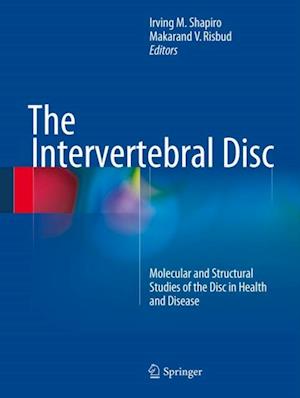 Intervertebral Disc