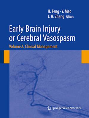 Early Brain Injury or Cerebral Vasospasm