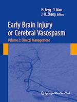 Early Brain Injury or Cerebral Vasospasm