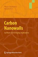 Carbon Nanowalls