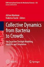 Collective Dynamics from Bacteria to Crowds