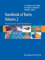 Handbook of Burns Volume 2