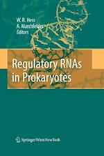 Regulatory RNAs in Prokaryotes