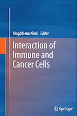 Interaction of Immune and Cancer Cells