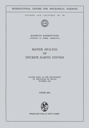 Matrix Analysis of Discrete Elastic Systems