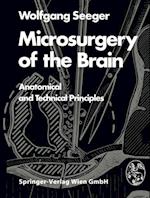 Microsurgery of the Brain