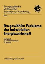 Ausgewählte Probleme der industriellen Energiewirtschaft