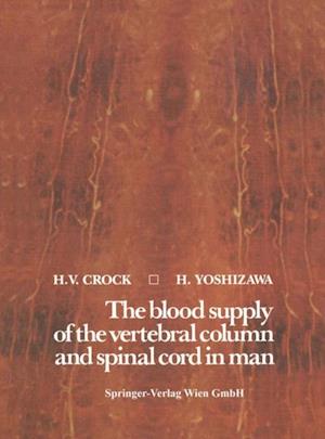 blood supply of the vertebral column and spinal cord in man