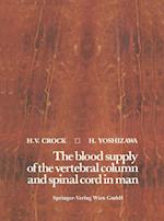 The blood supply of the vertebral column and spinal cord in man