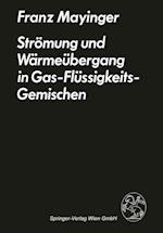 Strömung Und Wärmeübergang in Gas-Flüssigkeits-Gemischen