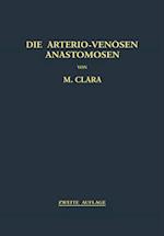 Die Arterio-Venösen Anastomosen