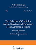 Behavior of Centrioles and the Structure and Formation of the Achromatic Figure