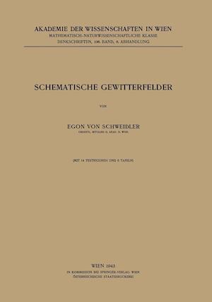 Schematische Gewitterfelder