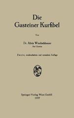 Die Gasteiner Kurfibel